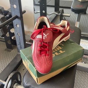 Puma baseball spikes